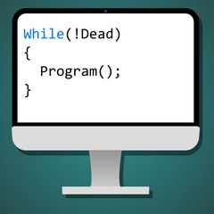 The Pro Programmer