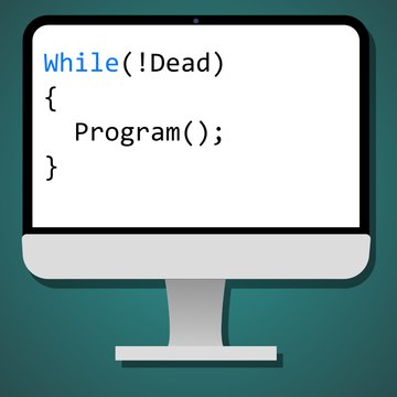 The Pro Programmer