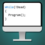The Pro Programmer