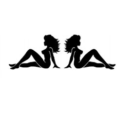 Fashion Wave  (时尚波浪)