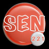 sen221.com