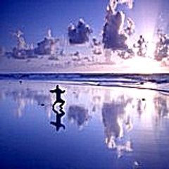 jefferydorothy9155