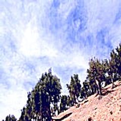 helenlinda7476