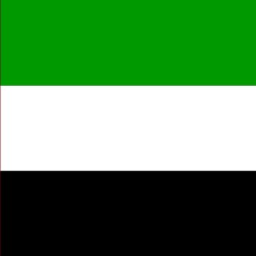 معظم الفيديو تتجه