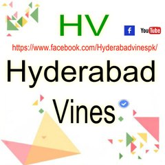 Hyderabad Vines