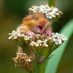 Best positive videos