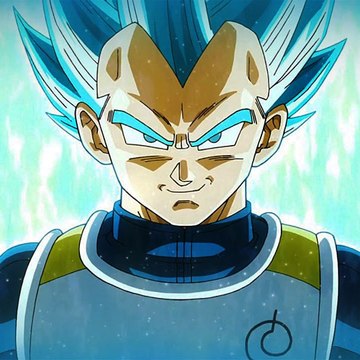 Vegeta Z