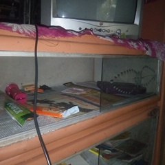 Tech Bangla Pro