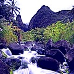 jonathankelly6854