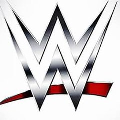 Wwe Fight
