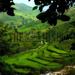 singh Sagar Amritbir