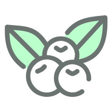 Berrywise Studios