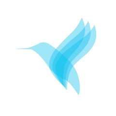 Digital Colibris