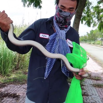 Võ Minh Phung