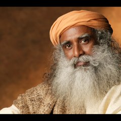 Insights Sadhguru
