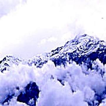 timothyalan3266