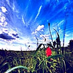 gregoryelizabeth6879