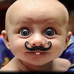 Funny Video