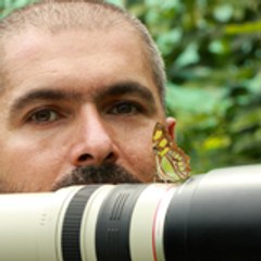 Yannick Alram Cinéaste Animalier
