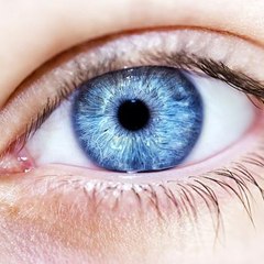 blueeyes