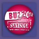 Buzzons Contre Le Sexisme