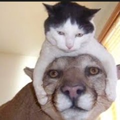 Surprising Situations