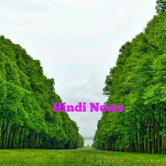 Hindi News