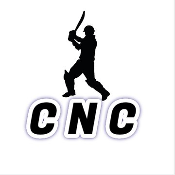 CRICKET N CRICKET