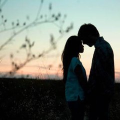 Love Bird