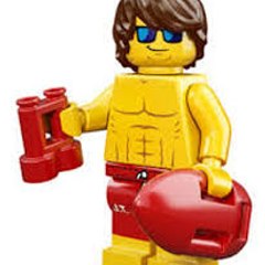 Have Brick, Will Travel