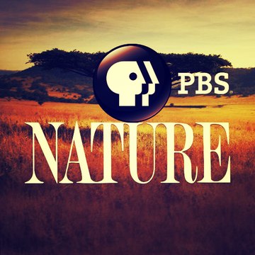 PBS Nature