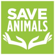 Save Animals