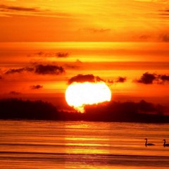 Sunset Videos