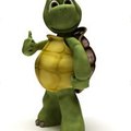LA GYM DES TORTUES