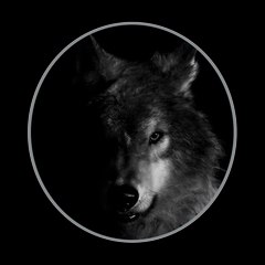 Wolfpound