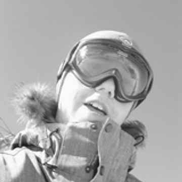 le_bosse