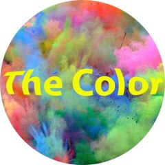 The Color Network