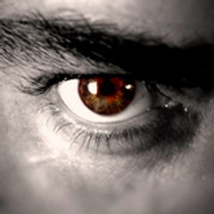 Observador BR