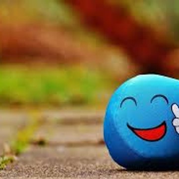 World's top videos
