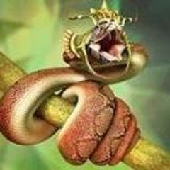 CoolSnake