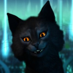 Dave the Cat
