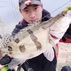 路亚日记