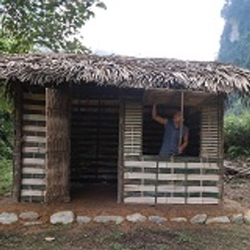 Primitive Skills