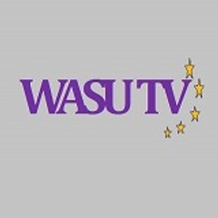 Wasu online TV