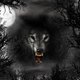 LA NOCHE DEL LOBO