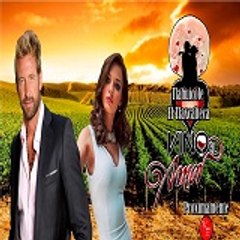noveleras 15