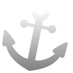Top Videos