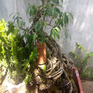 Hướng dẫn làm đồ trang trí Handmade