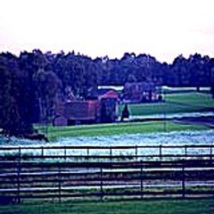 joshuajeffrey6236