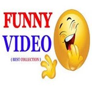 Funny Videos